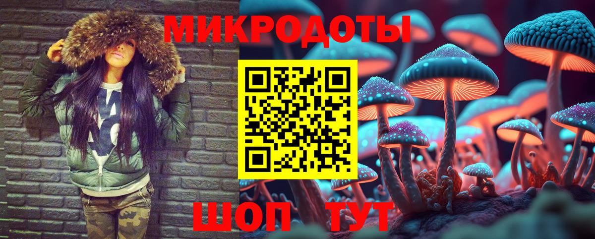 Псилоцибиновые грибы GOLDEN TEACHER Моршанск